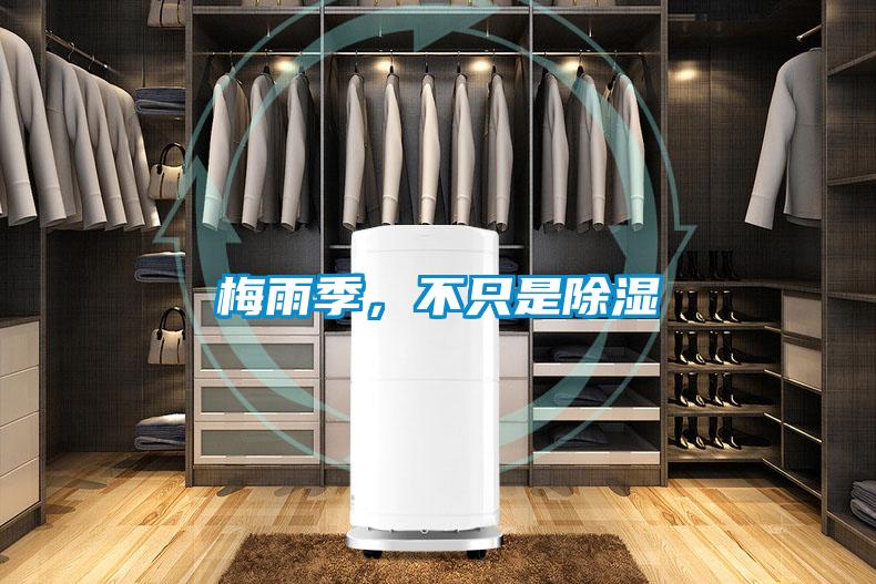 梅雨季，不只是除濕