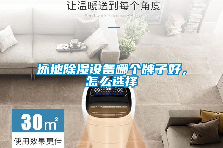 泳池除濕設(shè)備哪個(gè)牌子好，怎么選擇