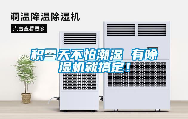 積雪天不怕潮濕 有除濕機就搞定！