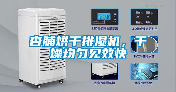 杏脯烘干排濕機，干燥均勻見效快