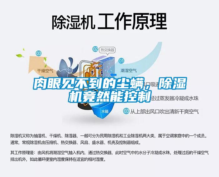 肉眼見不到的塵螨，除濕機(jī)竟然能控制