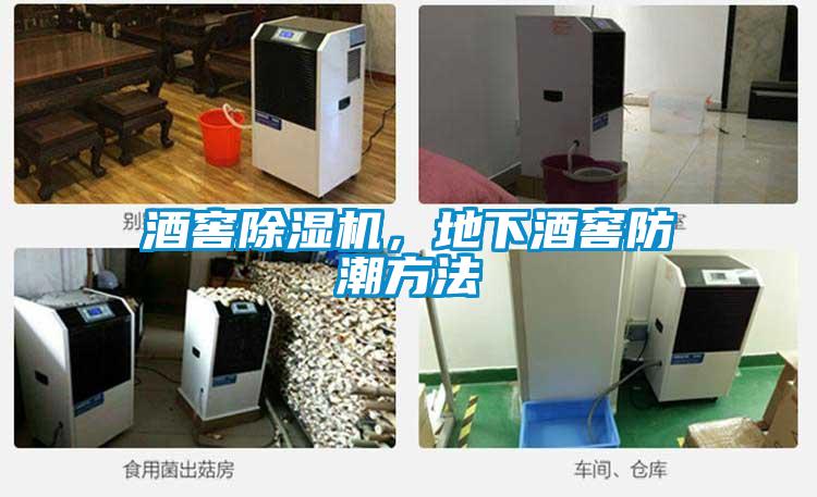 酒窖除濕機，地下酒窖防潮方法