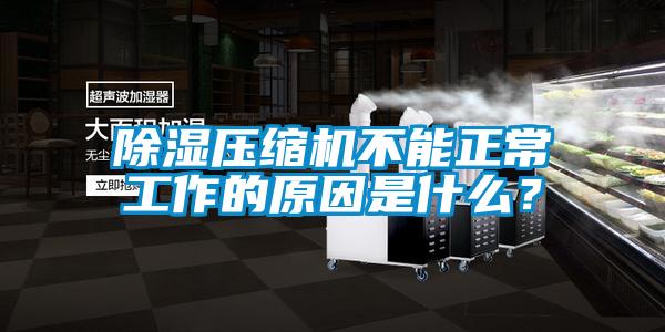 除濕壓縮機(jī)不能正常工作的原因是什么？