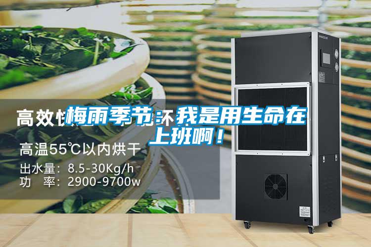 梅雨季節(jié)：我是用生命在上班??！