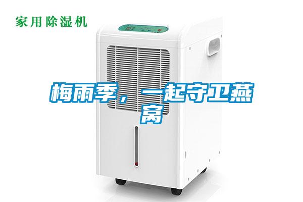 梅雨季，一起守衛(wèi)燕窩