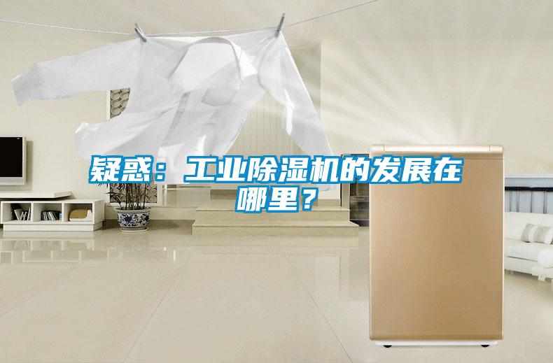 疑惑：工業(yè)除濕機的發(fā)展在哪里？