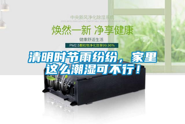 清明時(shí)節(jié)雨紛紛，家里這么潮濕可不行！