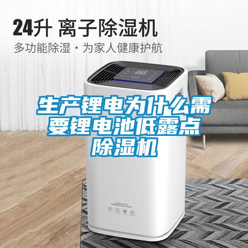 生產(chǎn)鋰電為什么需要鋰電池低露點除濕機(jī)