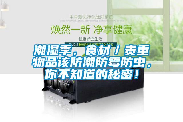 潮濕季，食材／貴重物品該防潮防霉防蟲，你不知道的秘密！
