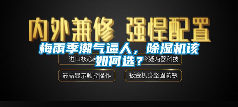 梅雨季潮氣逼人，除濕機該如何選？