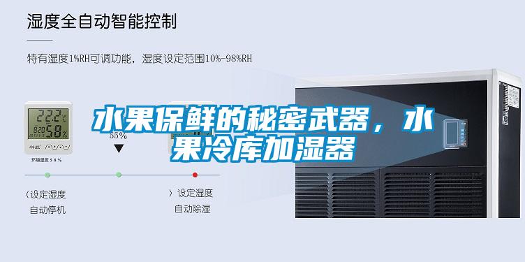 水果保鮮的秘密武器，水果冷庫加濕器