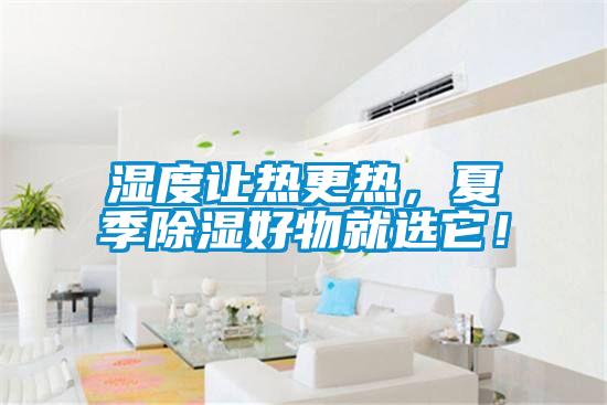濕度讓熱更熱，夏季除濕好物就選它！