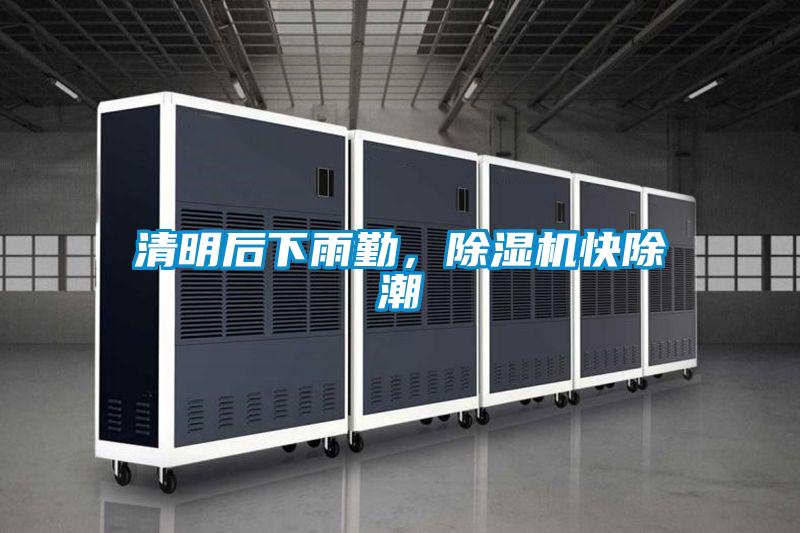 清明后下雨勤，除濕機快除潮