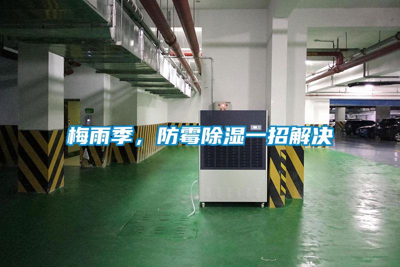 梅雨季，防霉除濕一招解決