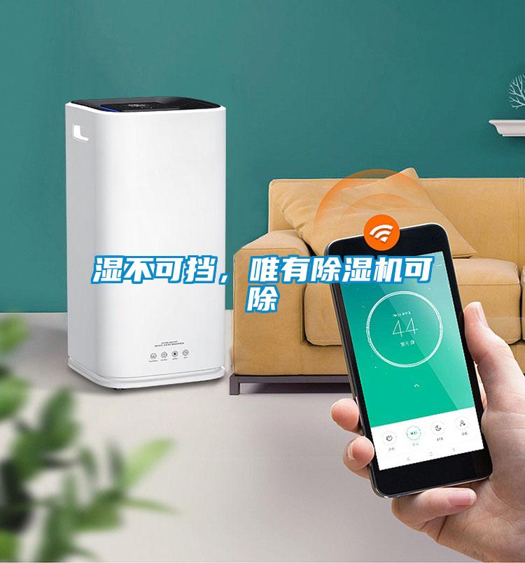 濕不可擋，唯有除濕機可除