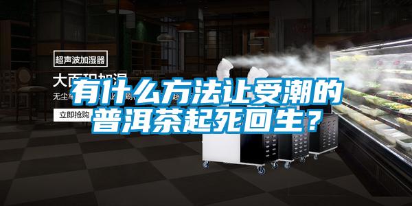 有什么方法讓受潮的普洱茶起死回生？