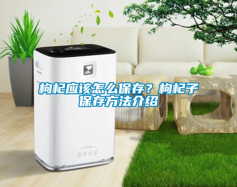 枸杞應(yīng)該怎么保存？枸杞子保存方法介紹