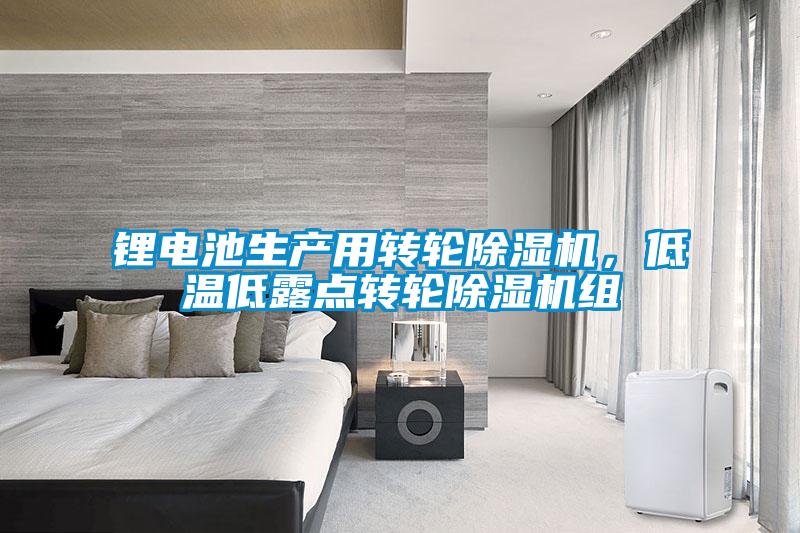 鋰電池生產(chǎn)用轉(zhuǎn)輪除濕機(jī)，低溫低露點(diǎn)轉(zhuǎn)輪除濕機(jī)組
