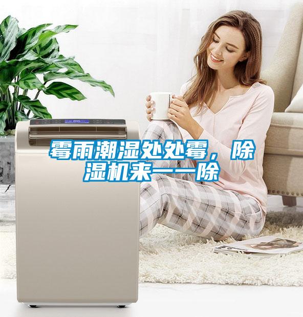霉雨潮濕處處霉，除濕機(jī)來(lái)一一除