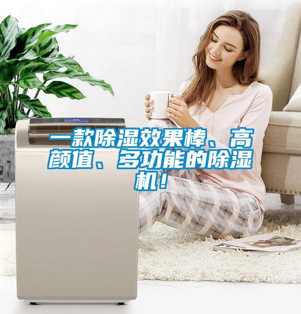 一款除濕效果棒、高顏值、多功能的除濕機(jī)！