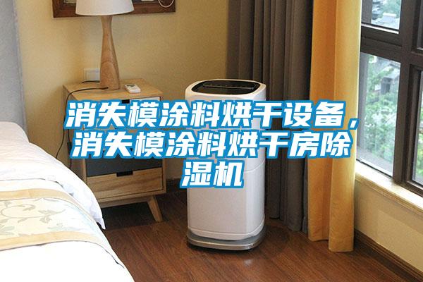 消失模涂料烘干設(shè)備，消失模涂料烘干房除濕機(jī)