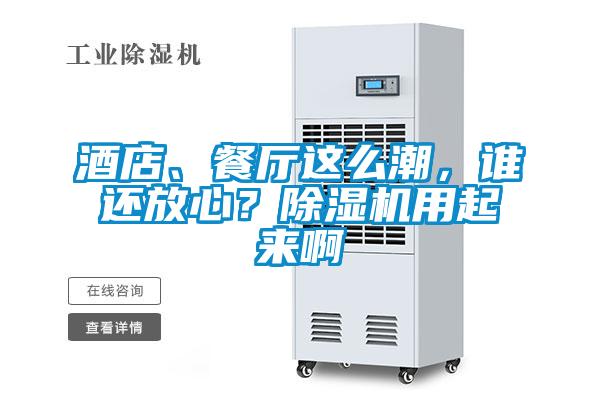 酒店、餐廳這么潮，誰(shuí)還放心？除濕機(jī)用起來(lái)啊
