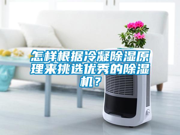 怎樣根據(jù)冷凝除濕原理來挑選優(yōu)秀的除濕機？