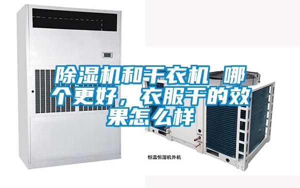 除濕機(jī)和干衣機(jī) 哪個(gè)更好，衣服干的效果怎么樣