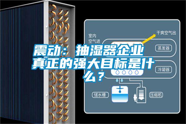 震動(dòng)：抽濕器企業(yè) 真正的強(qiáng)大目標(biāo)是什么？