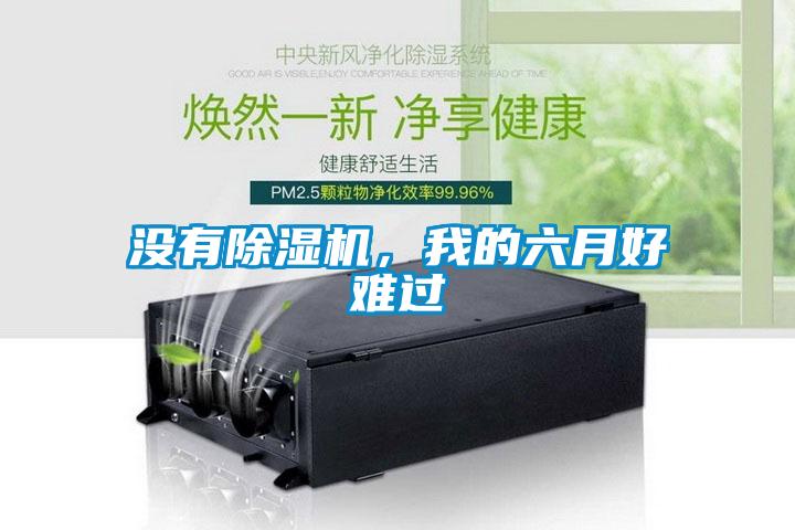 沒(méi)有除濕機(jī)，我的六月好難過(guò)
