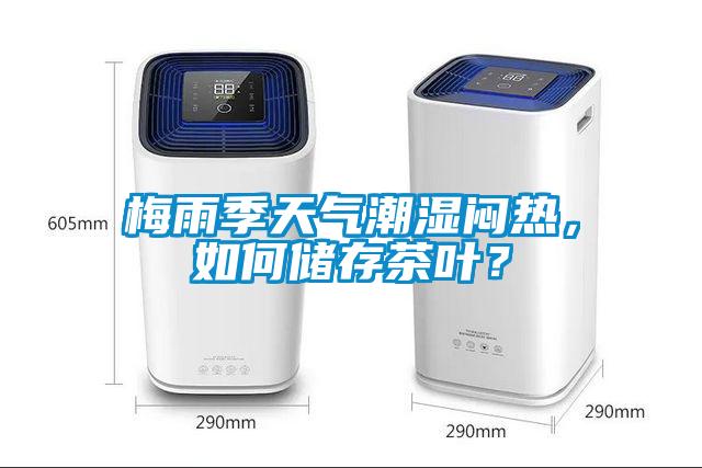 梅雨季天氣潮濕悶熱，如何儲(chǔ)存茶葉？