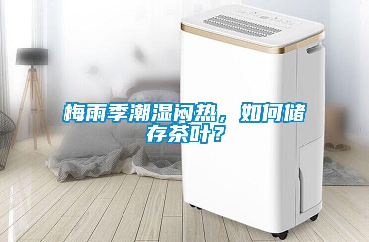 梅雨季潮濕悶熱，如何儲存茶葉？