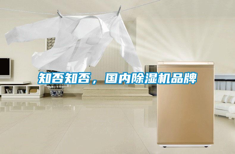 知否知否，國內(nèi)除濕機(jī)品牌