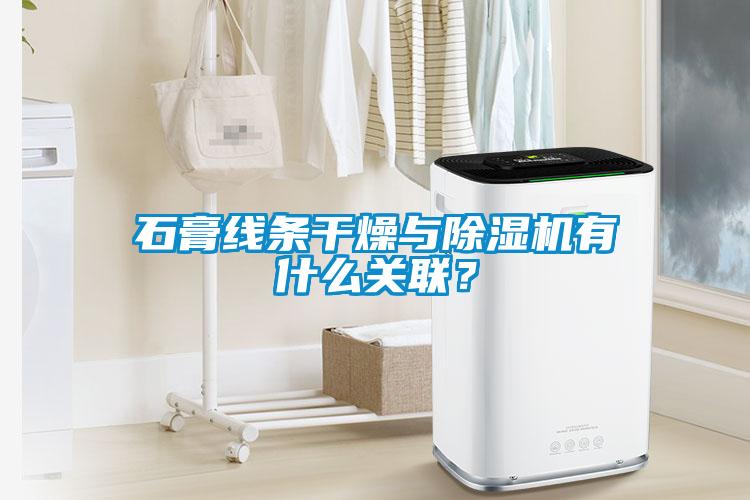 石膏線(xiàn)條干燥與除濕機(jī)有什么關(guān)聯(lián)？
