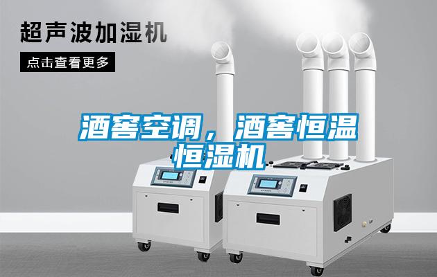 酒窖空調(diào)，酒窖恒溫恒濕機