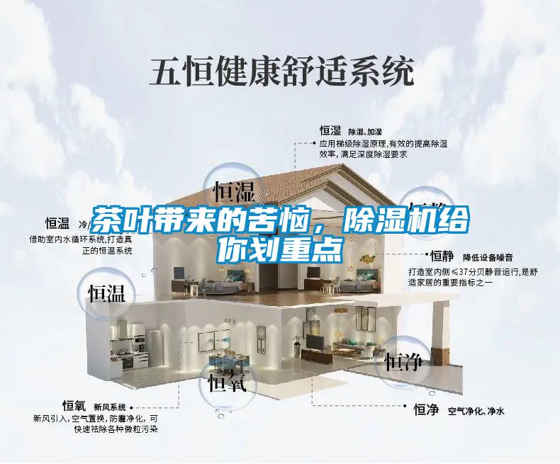 茶葉帶來的苦惱，除濕機給你劃重點