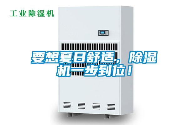 要想夏日舒適，除濕機一步到位！