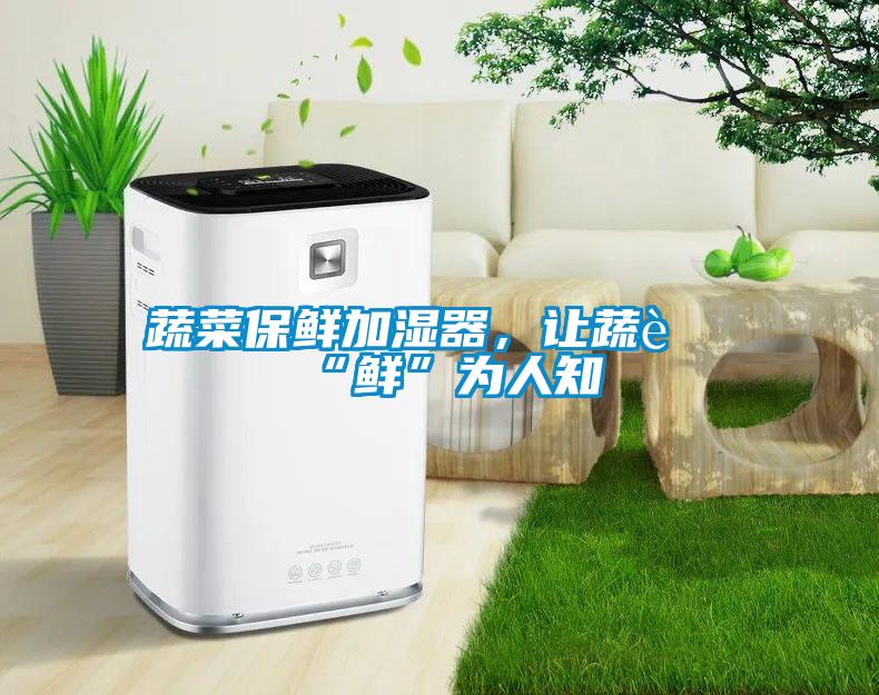 蔬菜保鮮加濕器，讓蔬菜“鮮”為人知