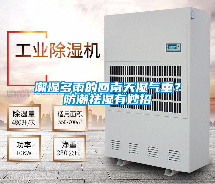 潮濕多雨的回南天濕氣重？防潮祛濕有妙招