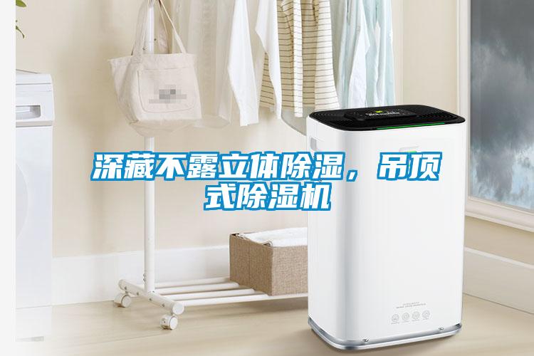 深藏不露立體除濕，吊頂式除濕機(jī)