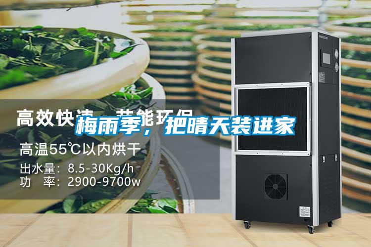 梅雨季，把晴天裝進(jìn)家