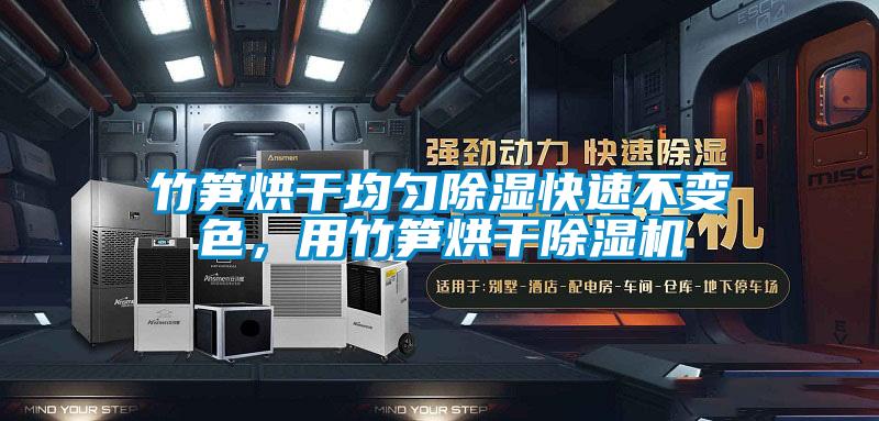 竹筍烘干均勻除濕快速不變色，用竹筍烘干除濕機(jī)