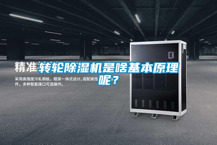 轉(zhuǎn)輪除濕機(jī)是啥基本原理呢？