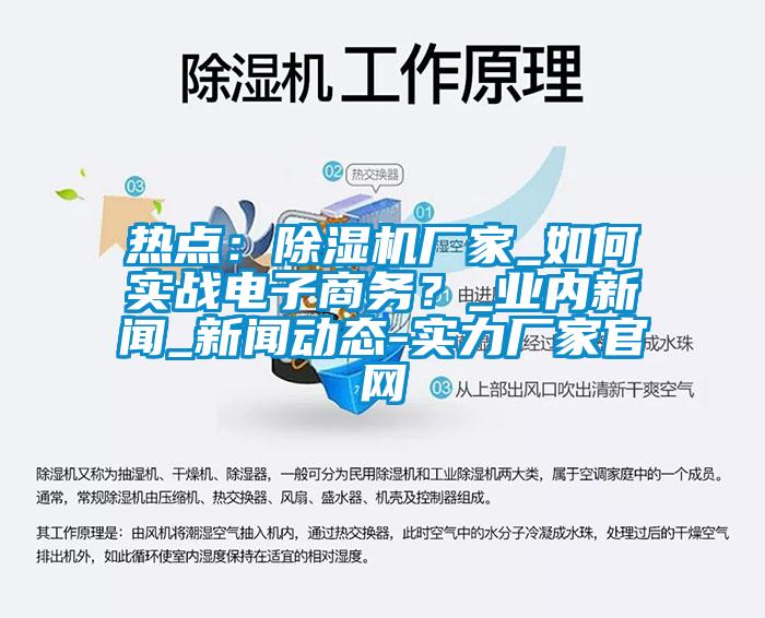 熱點：除濕機廠家_如何實戰(zhàn)電子商務(wù)？_業(yè)內(nèi)新聞_新聞動態(tài)-實力廠家官網(wǎng)