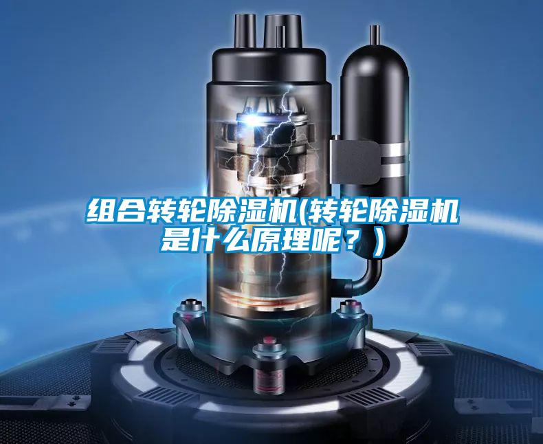 組合轉(zhuǎn)輪除濕機(jī)(轉(zhuǎn)輪除濕機(jī)是什么原理呢？)