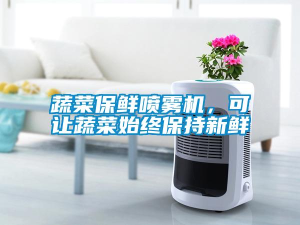 蔬菜保鮮噴霧機，可讓蔬菜始終保持新鮮