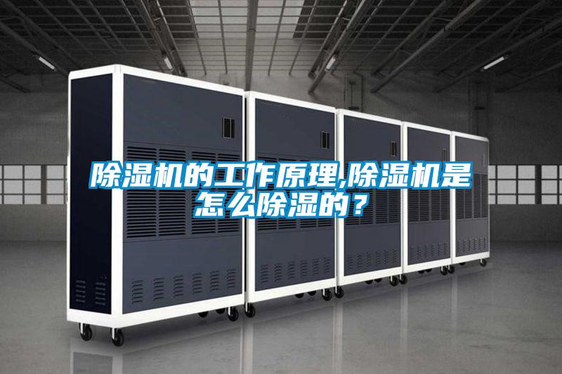 除濕機的工作原理,除濕機是怎么除濕的？