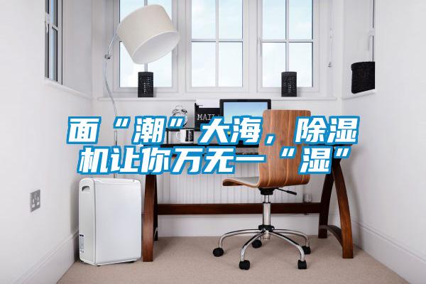 面“潮”大海，除濕機(jī)讓你萬(wàn)無(wú)一“濕”