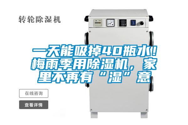 一天能吸掉40瓶水！梅雨季用除濕機，家里不再有“濕”意