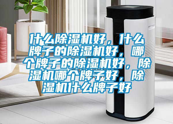 什么除濕機(jī)好，什么牌子的除濕機(jī)好，哪個(gè)牌子的除濕機(jī)好，除濕機(jī)哪個(gè)牌子好，除濕機(jī)什么牌子好